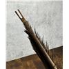Image 7 : African Tribal Hunting Arrow