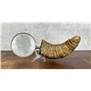 Image 2 : Ram Horn Magnifying Glass