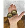 Image 2 : Cased Sterling Silver Clam Shell Salt Cellars