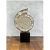 Brass Nautilus Shell Fossil Sculpture