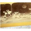 Image 2 : Unusual Flying Fairies On The Moon Stereoview