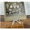 Image 2 : Victorian Funeral Flowers Cabinet Card Photo