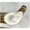 Image 2 : Montana Elk Antler Cribbage Board