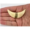 Image 1 : Walrus Tooth Ornament