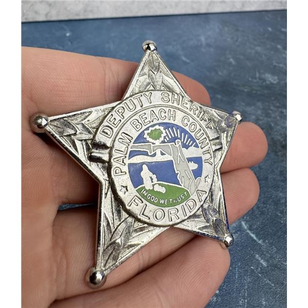 Palm Beach County Florida Deputy Sheriff Badge