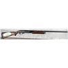 Image 2 : Remington 870 Express 12ga Shotgun New in Box