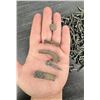 Image 6 : Excavated Copper Nails Fort Ticonderoga