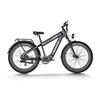 Image 1 : Himiway D5 Rhino Dual Battery Fat Tire E-Bike
