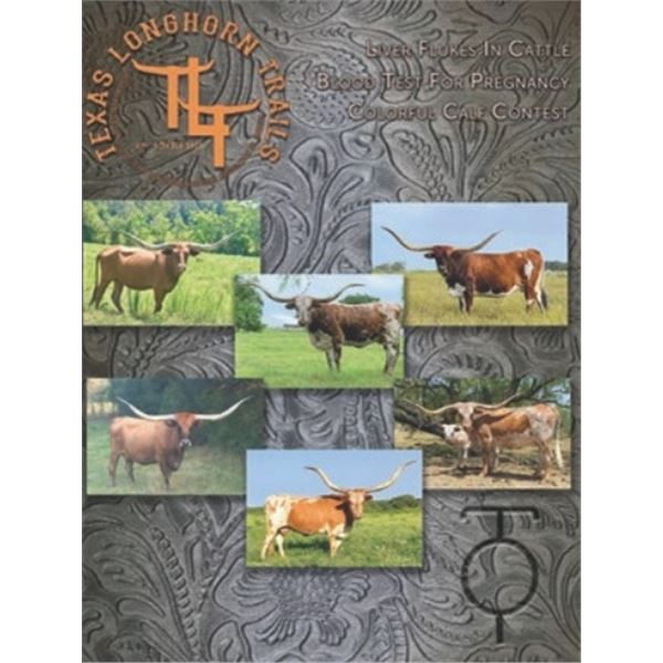 A Full Page Ad in Texas Longhorn Trails Magazine ($800 value)