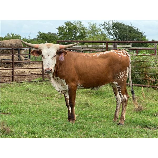 SUB LOT - JACKIE LYNN 4530