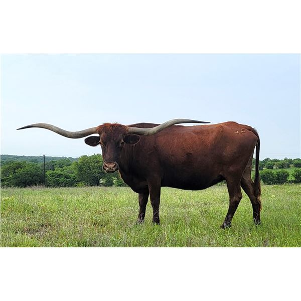 WF Strawberry Twist 109