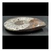 Image 10 : Ammonite Polished Fossil Specimen 9.25"
