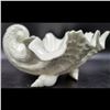 Image 3 : 3 Royal Worcester Porcelain Shell Dishes