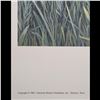 Image 3 : Charles Fracé (American, 1926-2005) Limited Edition Print, "New Arrival"