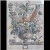 Image 2 : 18th C Henry Fletcher Color Engraving "12 Months Of Flowers" December