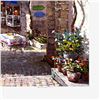 Image 2 : Arches De Cagnes by Park, S. Sam