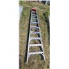Image 3 : 10' LADDER