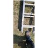 Image 3 : 20' EXTENSIOMN LADDER