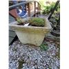 Image 2 : Concrete planter A