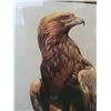 Image 2 : Robert Bateman Print  A