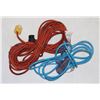 Image 1 : TWO EXTENSION CORDS. SMALLER BLUE ONE LIGHTS UP