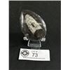 Image 1 : Ammonite Fossil Specimen (Morocco). Retails $200.00
