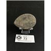 Image 2 : Ammonite Fossil Specimen (Morocco). Retails $200.00