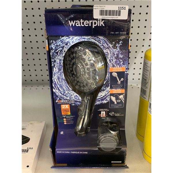 Waterpik Magnetic Dual Dock Adjustable Height Hand Held Shower Head
