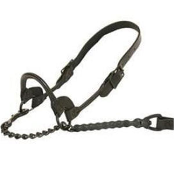 LOT OF 2 - SULLIVAN SUPPLY 1ST CLASS SHOW HALTER