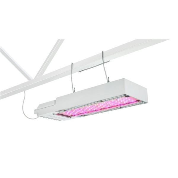 Philips Horticulture LED Solutions GreenPower LED Grow Light
