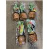 Image 1 : 5 NEW DANCING CACTUS FIGURES RETAIL $100
