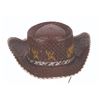 Image 5 : A Davy Crockett Cowboy Hat.