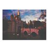 Image 2 : A Your Superbonus Album of Disneyland Postcard Book.