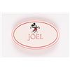 Image 1 : A Disneyland Cast Member "Joel" Name Badge.