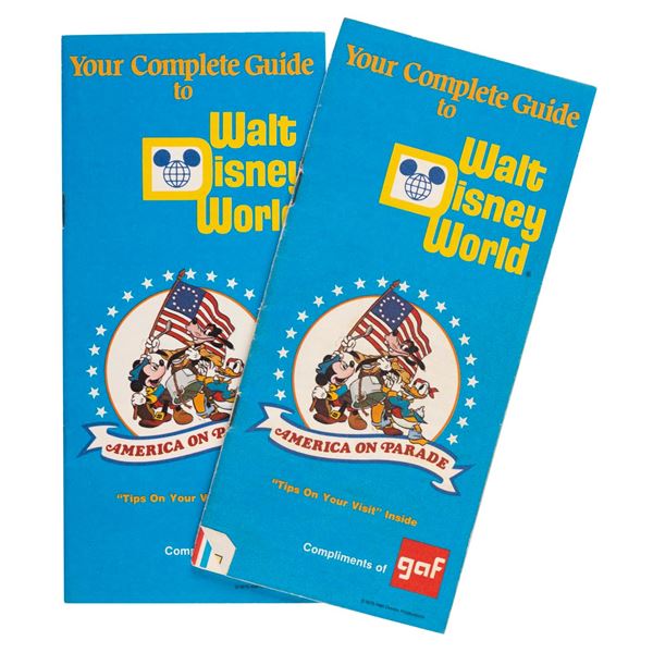 Your Complete Guide to Walt Disney World Brochures.