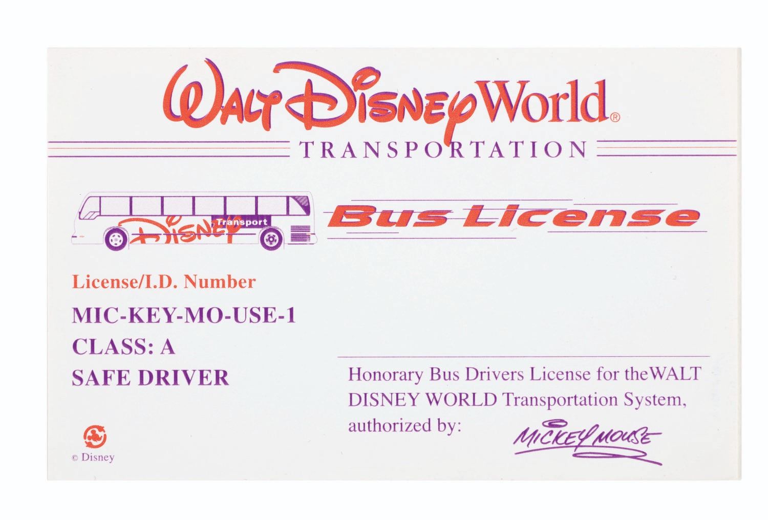 A Walt Disney World Honorary Bus Driver's License.