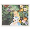 Image 1 : A Disney Studio "Alice in Wonderland" Dye Transfer.