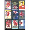 Image 1 : 9 NHL Detroit Red Wings Insert Cards