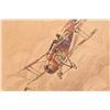Image 2 : WWI Aces Signed Watercolor: Air Battle Sopwith [177511]