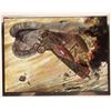 Image 2 : WWI Aces: Aircraft Wings of Glory Prints Set of 4 [177529]
