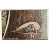 Image 2 : Lumberjacks Postcards 1908-13 (30) [185843]