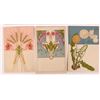 Image 2 : Art Nouveau - Flower Postcards 1900-10 (10) [186488]