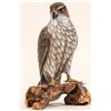 Image 1 : Wood Carved, Painted Sculpture:  Red Tail Hawk [184010]