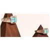 Image 2 : Zuni turquoise Inlay [162653]