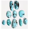 Image 1 : Spiderweb Turquoise Cabochons [185909]