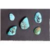 Image 1 : Turquoise, cut stones, large, (5) [186464]