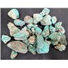 Image 1 : Turquoise - No. 8 Mine Nevada Nuggets [186506]