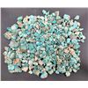 Image 2 : Turquoise - No. 8 Mine Nevada Nuggets [186616]