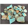 Image 1 : Turquoise - No. 8 Mine Nevada Spider Web [186612]