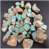 Image 1 : Turquoise - No. 8 Mine Nevada, Rough Treated [186604]
